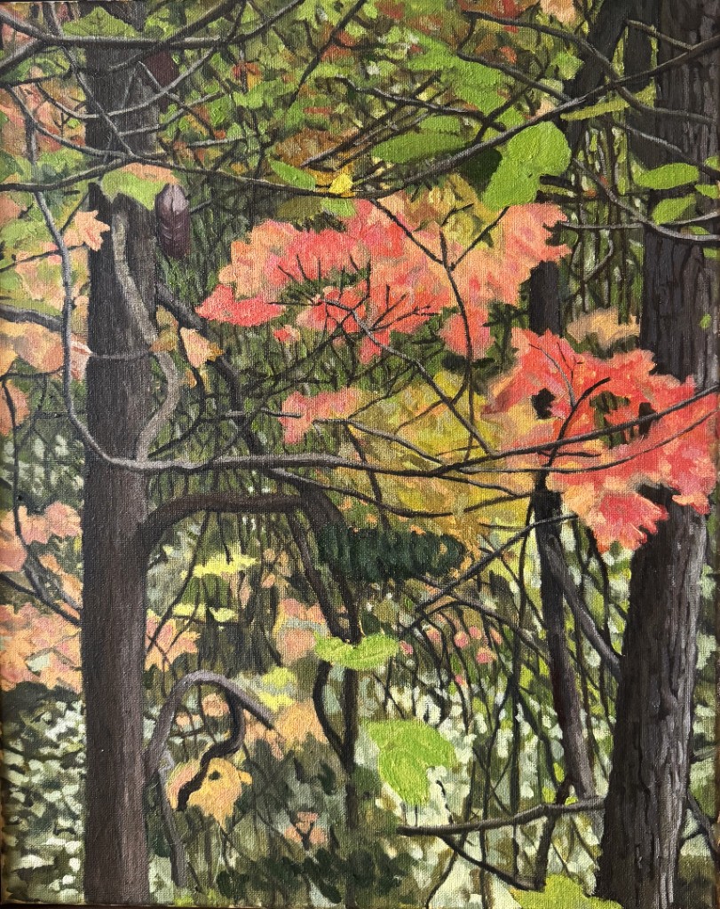 Fall Canopy