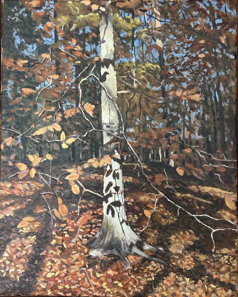 Birch in Fall