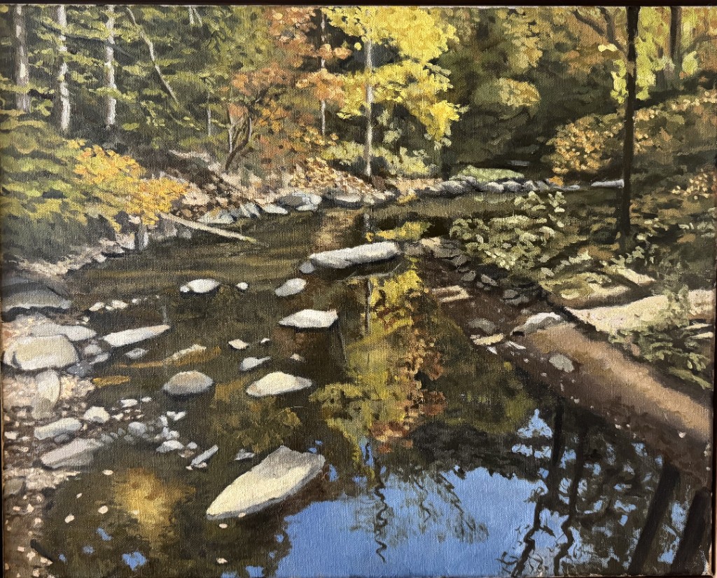 Summer Reflections