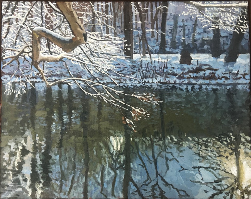 Winter Reflection