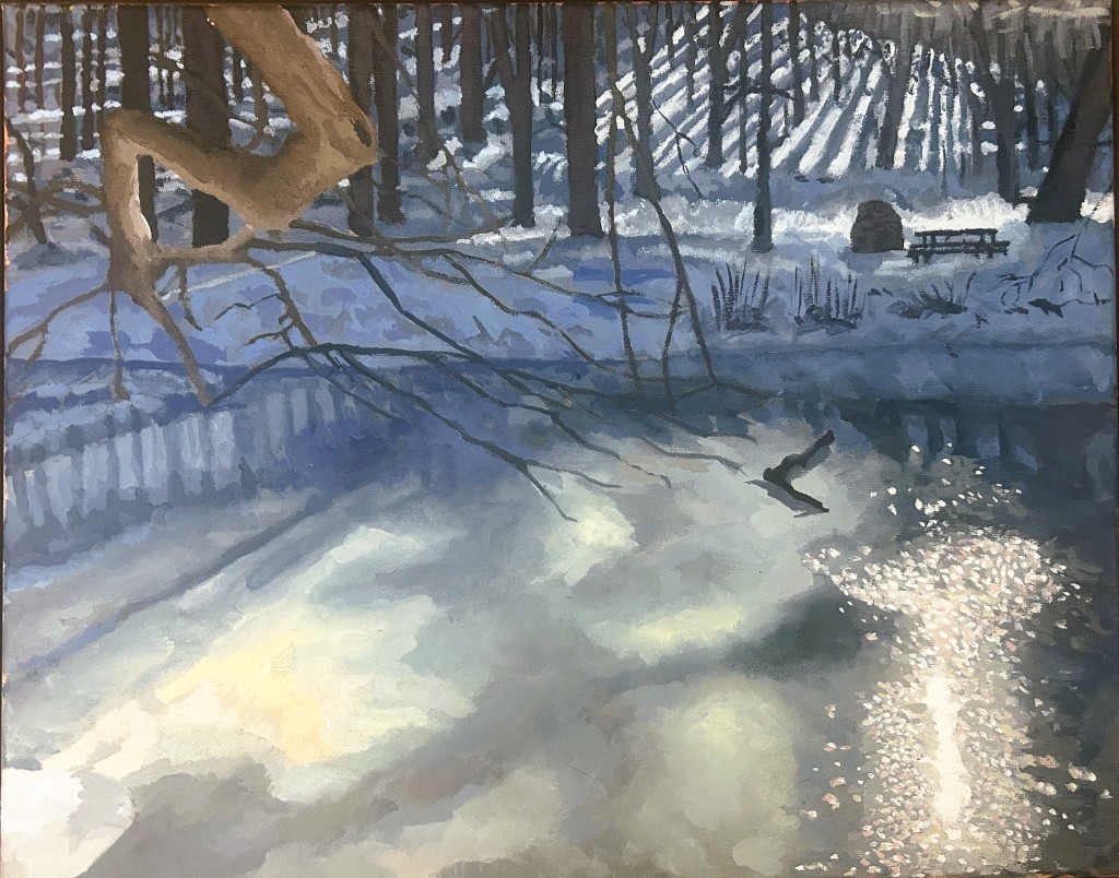 Winter Shadows
